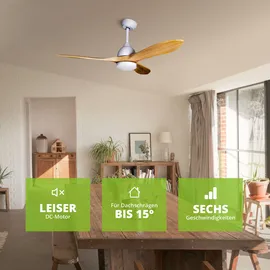 Eclipse Airora 0 cm Deckenventilator Holz
