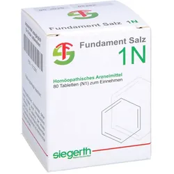 Fundament Salz I N