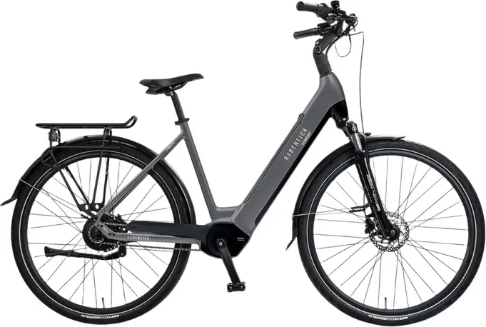 Rabeneick Comfort E-Bike Wave 51 grau