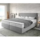 DeLife Boxspringbett Dream-Well Mikrofaser Grau 200x200 cm mit Taschenfederkernmatratze und Topper Visco, Boxspringbetten