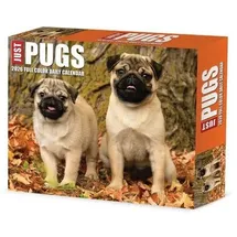 Willow Creek Press Just Pugs 2026 Box Calendar