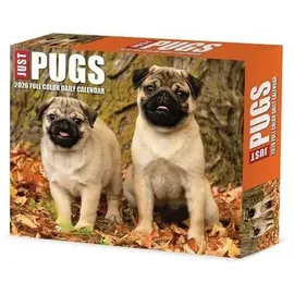 Willow Creek Press Just Pugs 2026 Box Calendar