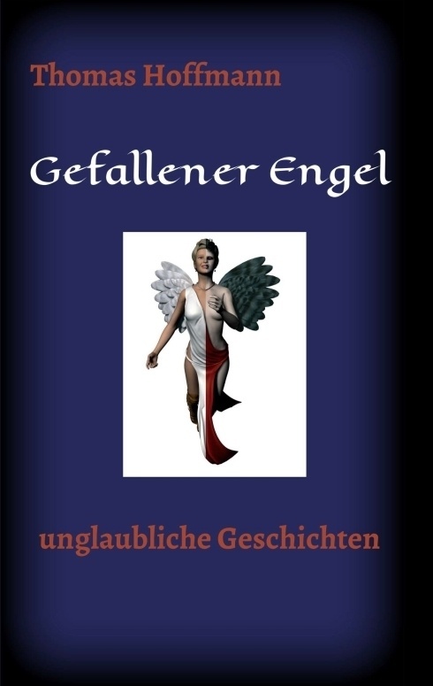 Gefallener Engel - Thomas Hoffmann  Kartoniert (TB)