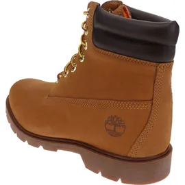 Timberland 6 Inch Lace UP Boot wheat - 44
