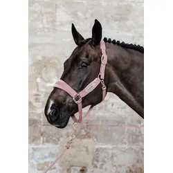 Velvet Halfter alt rosa Full altrosa Horse