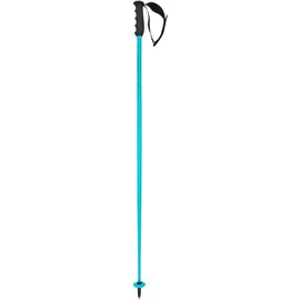Head Worldcup SL Speed Blue
