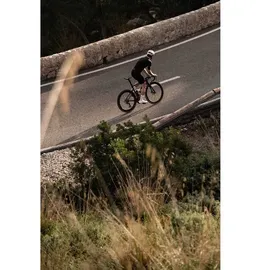 Ceramicspeed Alpha T47a | SRAM Dub
