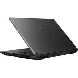 Medion Defender 17 P10 17,3" Intel Core i9-14900HX 16 GB RAM 1 TB SSD NVIDIA GeForce RTX 5060 Windows 11 schwarz