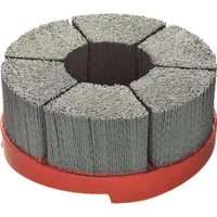 Lessmann Tellerbürste HFB D.100mm Bohr.SiC Schleifborsten K.120 3600min-1 LESSMANN