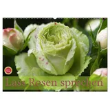 Calvendo Lass Rosen sprechen (Wandkalender 2025 DIN A2 quer), CALVENDO Monatskalender