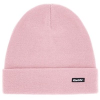 Eisbär Skater in Rosa