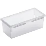 Rotho Aufbewahrungsbox Basic 8 x 15 cm Kunststoff Transparent XS (Extra Small)