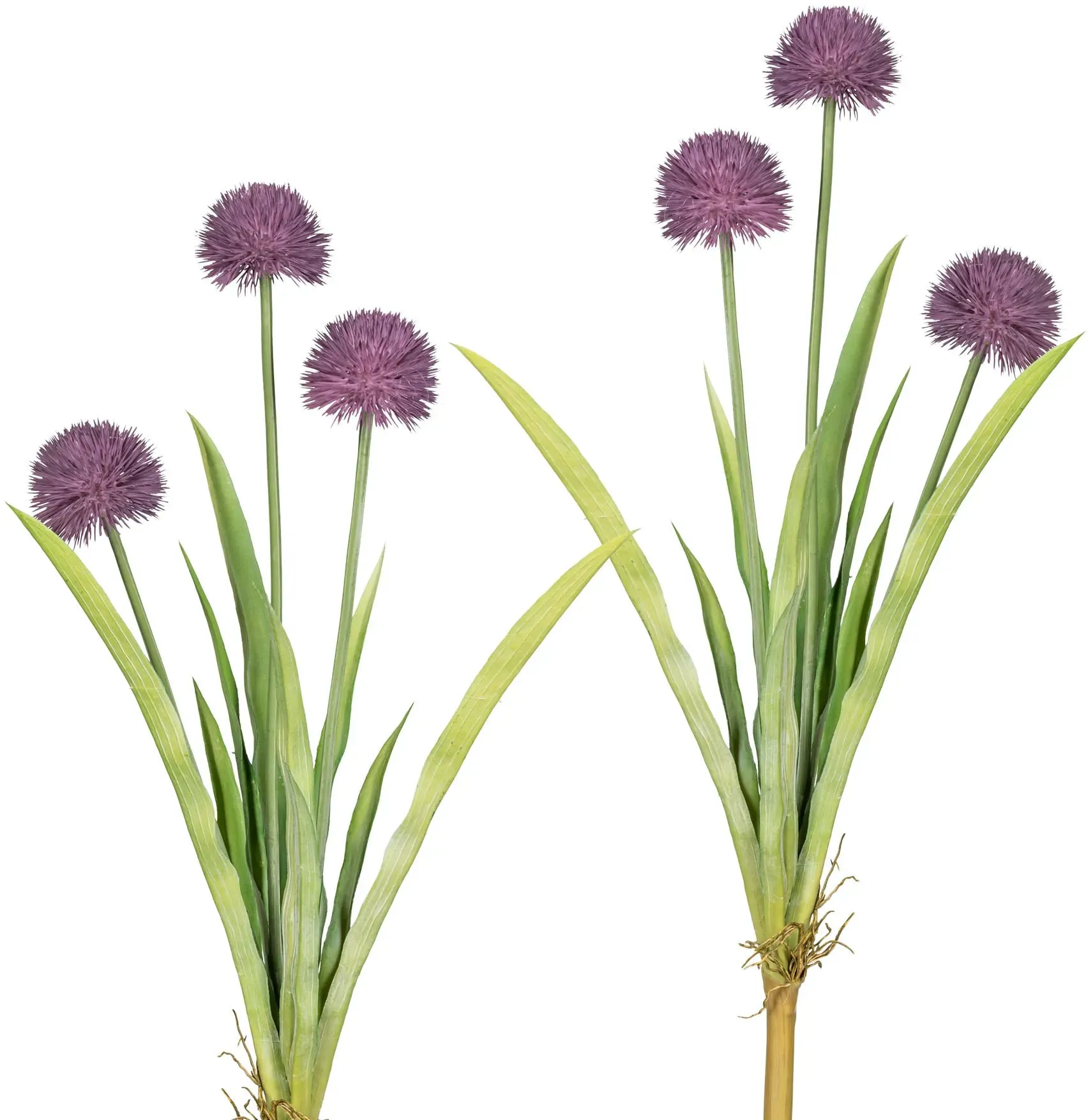 Kunstblume OTTO HOME 