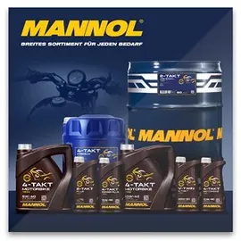 Mannol 2-Takt Plus MN7204 10W-30 10 l