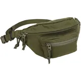 Tasmanian Tiger TT Modular Hip Bag 1,5 l Oliv