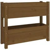 vidaXL Pflanzkübel 77 x 25 x 66 cm Honigbraun