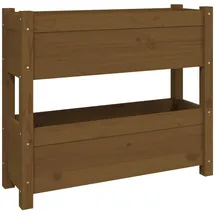 vidaXL Pflanzkübel 77 x 25 x 66 cm Honigbraun