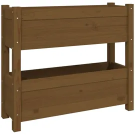 vidaXL Pflanzkübel 77 x 25 x 66 cm Honigbraun