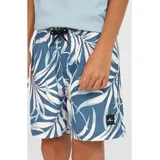O'Neill O'neill Cali 14" Swimshorts blue dipped leaves (35157) 140