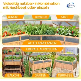 Coemo Hochbeet mit Frühbeetaufsatz 90 x 40 x 120 cm Braun