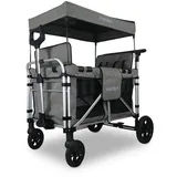 FUXTEC Luxus Bollerwagen FX-CTXL900 Grau