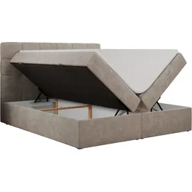 MKS Meble Boxspringbett 140 x 200 cm H3 Beige