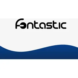 Fontastic Lizz, drahtloser Party-Lautsprecher, 60W, Mikrofon & LED