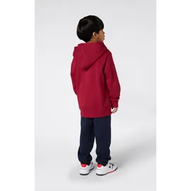 Champion Hoodie Red 176