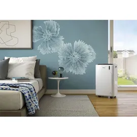 De'Longhi Pinguino PAC EM90 Silent mobil