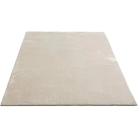 The CarPET Kuschelig & Super Soft Teppich 300 x 400 cm Beige
