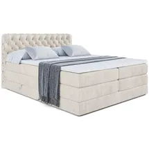 altdecor Boxi8 King 160 x 200 cm H3/H4 Creme