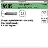 Reyher Linsenblechschraube ISO 14585 ISR/Spitze 6,3x32 -F Stahl geh.galv.verz. 250St.