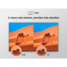 TCL 32S5K 32 Zoll QLED Full HD Android TV