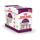 Royal Canin 48x 85g Royal Canin Sensory Multipack in Soße Katzenfutter nass