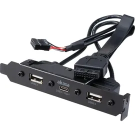 Akasa USB 3.1 Gen1 Typ C auf PCI mit Dual USB 2.0 Type-A / AK-CBUB53-40BK