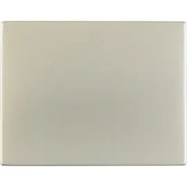 Berker Taster K.5 Edelstahl Rostfrei