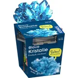 Kosmos Blaue Kristalle selbst züchten