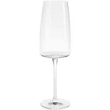 Schott Zwiesel Vivid Senses Sektglas 0,388 l 2 St.