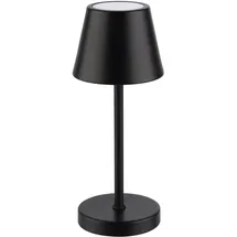 APS MERLE MICRO Schwarz