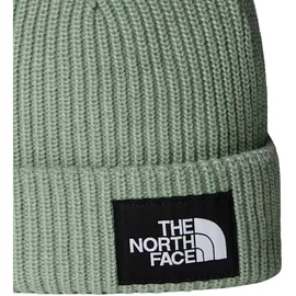 The North Face Salty Lined Beanie Grün
