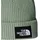 The North Face Salty Lined Beanie Grün