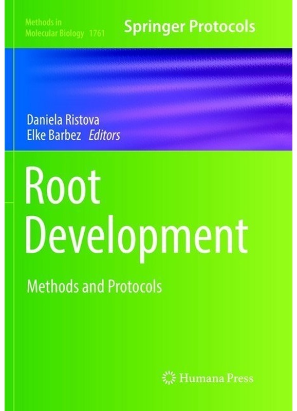 Root Development, Kartoniert (TB)