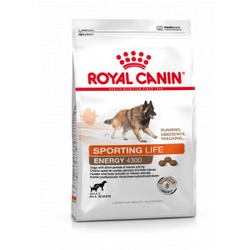Royal Canin Sporting Energy 4300 Hundefutter 2 x 15 kg