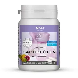 Hager Pharma Gmbh Konzentration Kaugummi nach Dr.Bach 40 St
