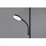 Trio Specter 17 + 4,5 W 178 cm schwarz