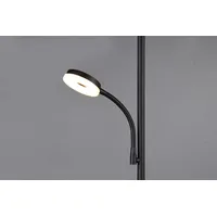 Trio Specter 17 + 4,5 W 178 cm schwarz