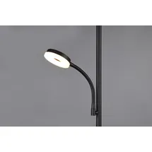 Trio Specter 17 + 4,5 W 178 cm schwarz