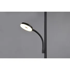 Trio Specter 17 + 4,5 W 178 cm schwarz