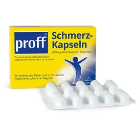 Dr. Theiss Naturwaren PROFF Schmerzkapseln 400 mg 20 St.