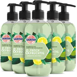 Sagrotan Handseife Frisch Fruchtig – Feuchtigkeitsspendende Flüssigseife mit fruchtigem Duft – 5 x 300 ml